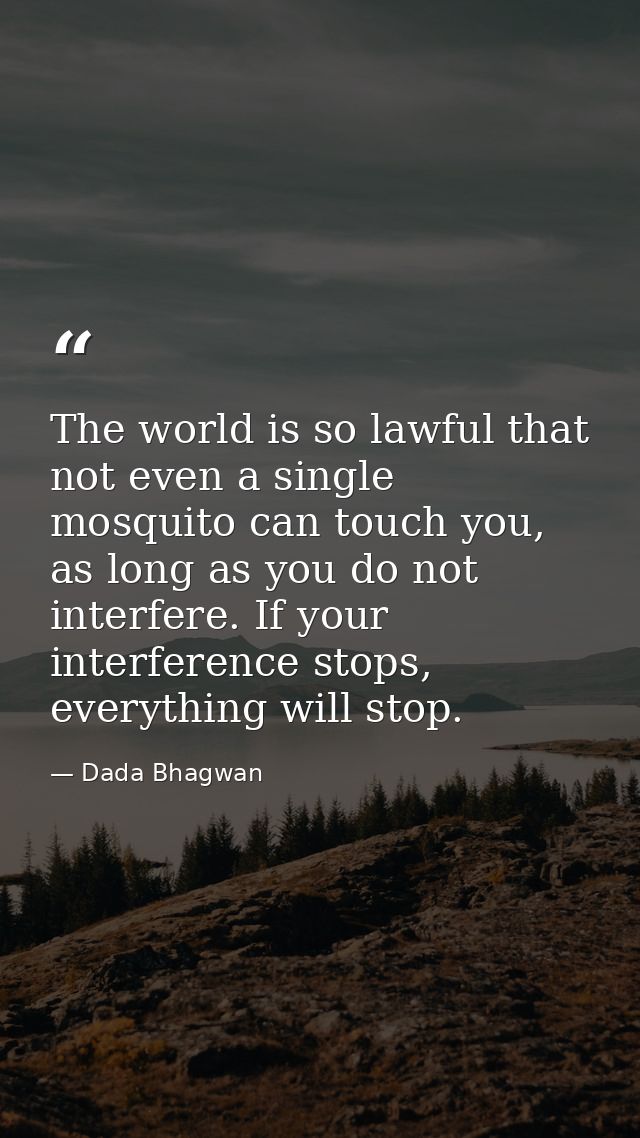 The world is so lawful that not even a single mosquito can touch you, as long as you do not interfere. If your interfere — Dada Bhagwan
