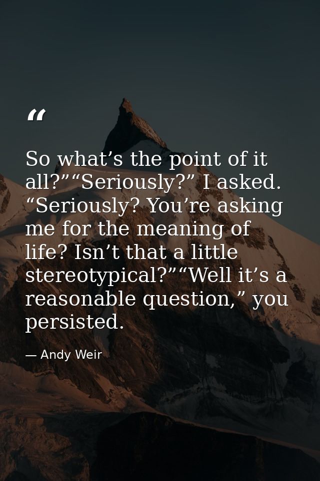 So what’s the point of it all?”“Seriously?” I asked. “Seriously? You’re asking me for the meaning of life? Isn’t that a  — Andy Weir