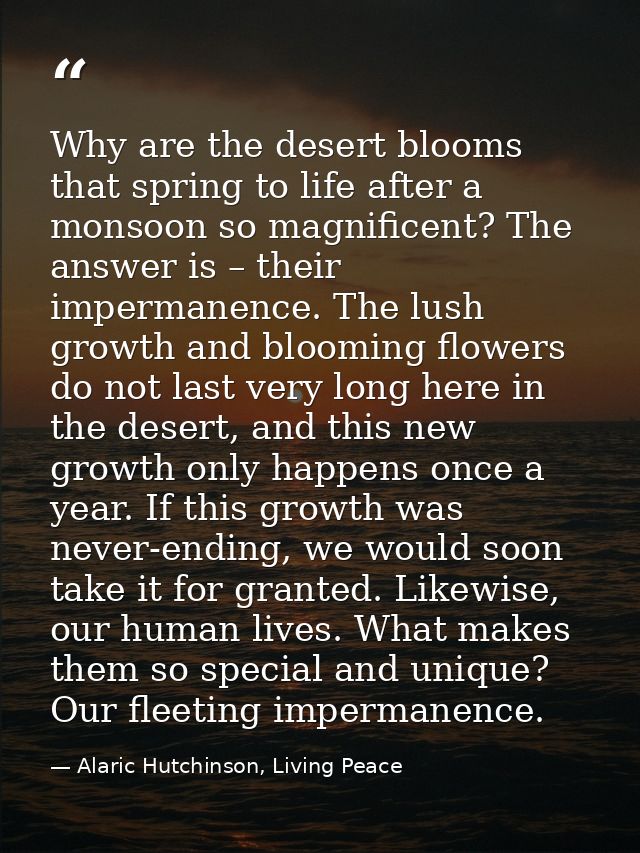 Why are the desert blooms that spring to life after a monsoon so magnificent? The answer is – their impermanence. The lu — Alaric Hutchinson, Living Peace