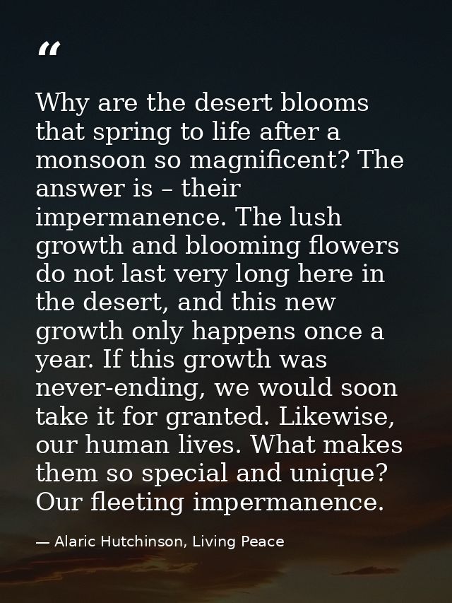 Why are the desert blooms that spring to life after a monsoon so magnificent? The answer is – their impermanence. The lu — Alaric Hutchinson, Living Peace