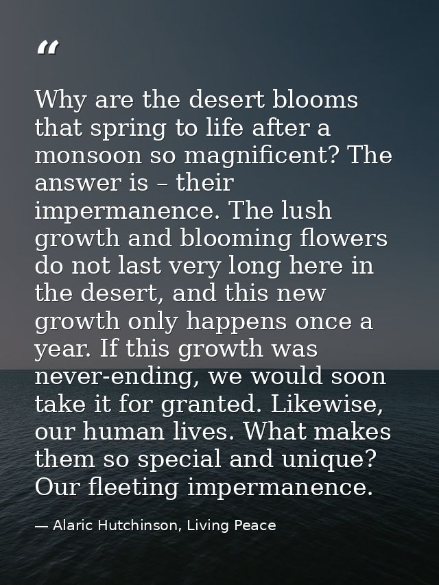 Why are the desert blooms that spring to life after a monsoon so magnificent? The answer is – their impermanence. The lu — Alaric Hutchinson, Living Peace
