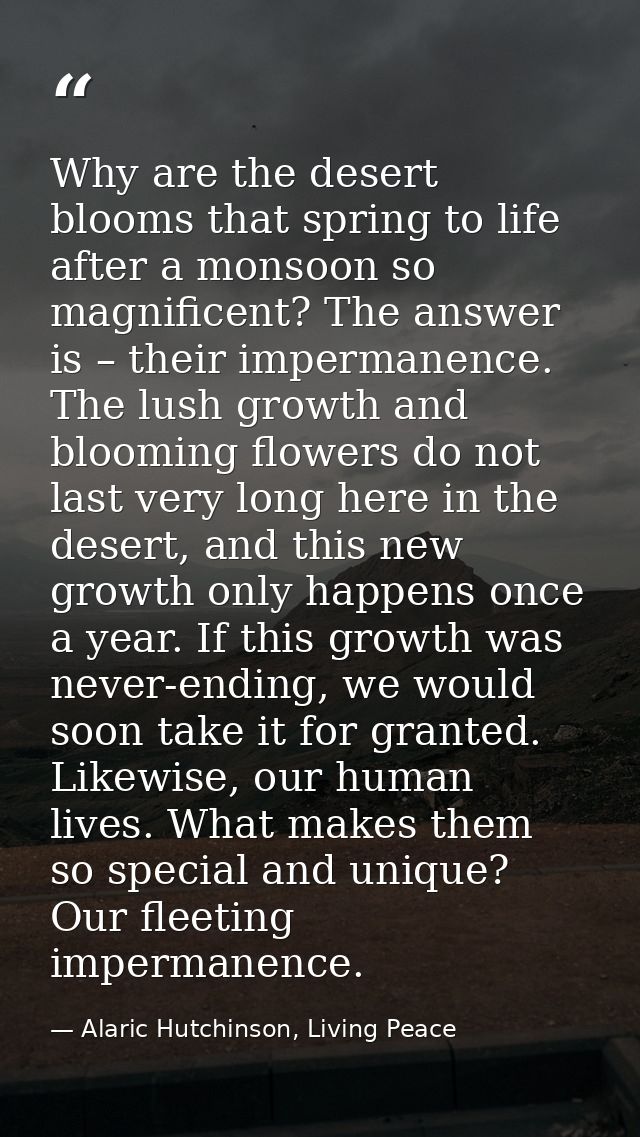 Why are the desert blooms that spring to life after a monsoon so magnificent? The answer is – their impermanence. The lu — Alaric Hutchinson, Living Peace