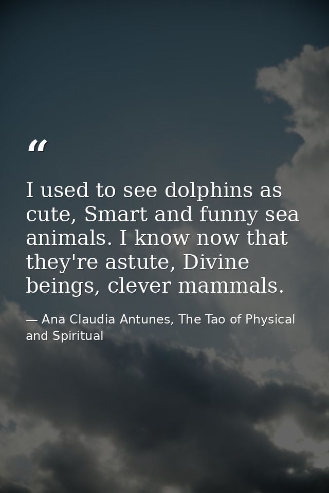 I used to see dolphins as cute, Smart and funny sea animals. I know now that they're astute, Divine beings, clever mamma — Ana Claudia Antunes, The Tao of Physical and Spiritual