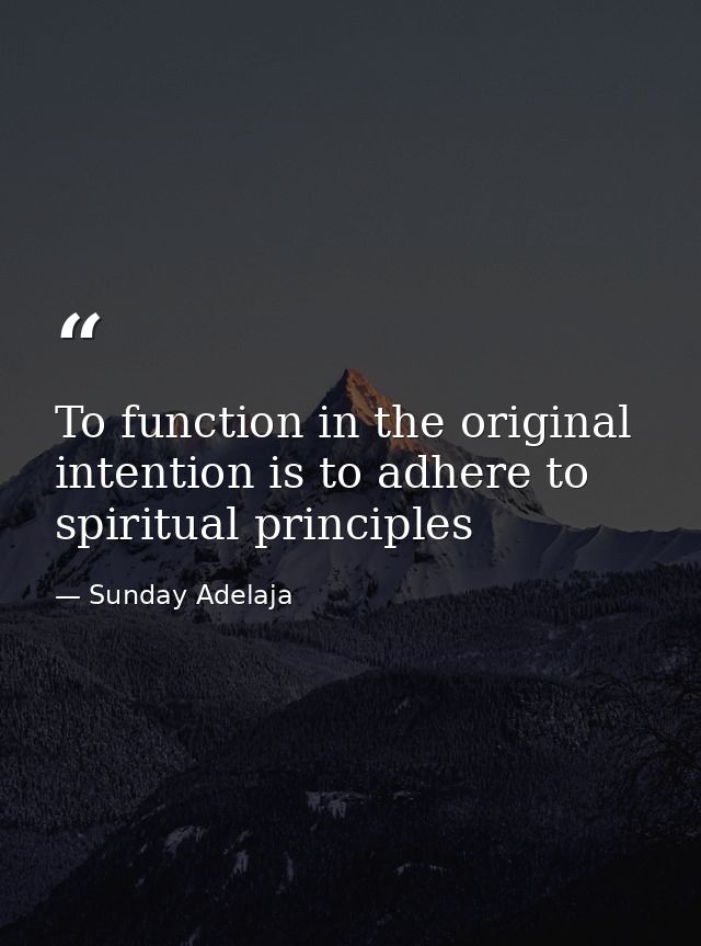 To function in the original intention is to adhere to spiritual principles — Sunday Adelaja