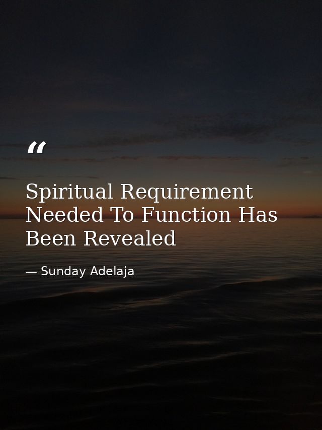Spiritual Requirement Needed To Function Has Been Revealed — Sunday Adelaja