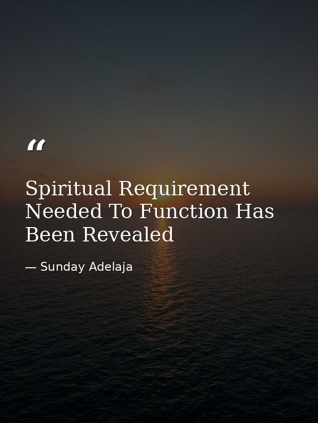 Spiritual Requirement Needed To Function Has Been Revealed — Sunday Adelaja