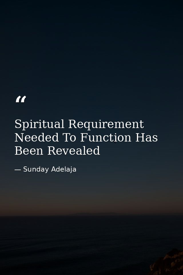 Spiritual Requirement Needed To Function Has Been Revealed — Sunday Adelaja