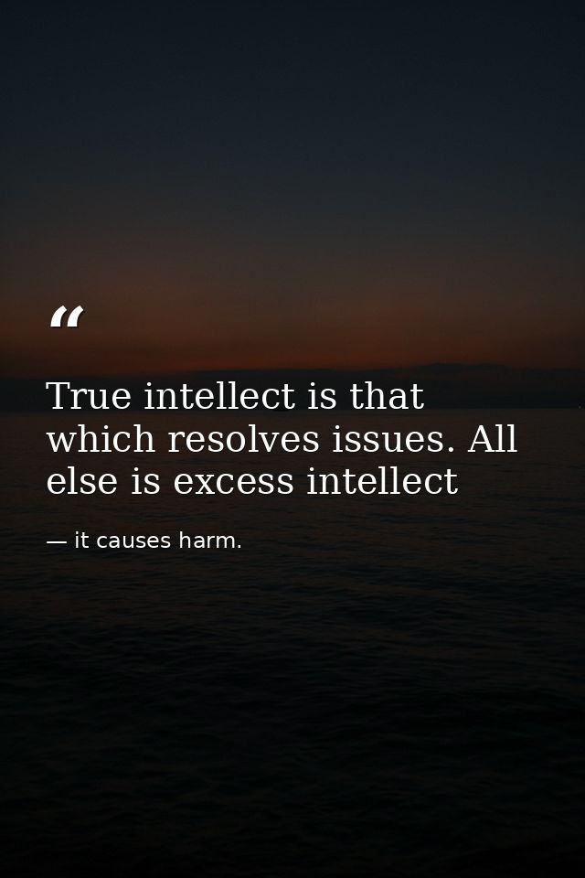 True intellect is that which resolves issues. All else is excess intellect — it causes harm.