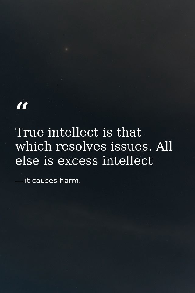True intellect is that which resolves issues. All else is excess intellect — it causes harm.
