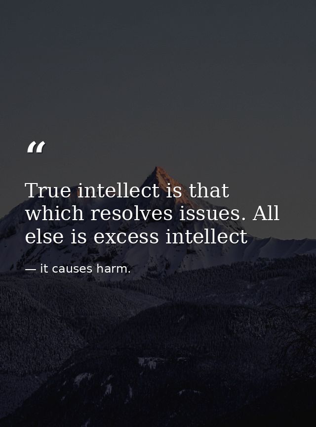 True intellect is that which resolves issues. All else is excess intellect — it causes harm.