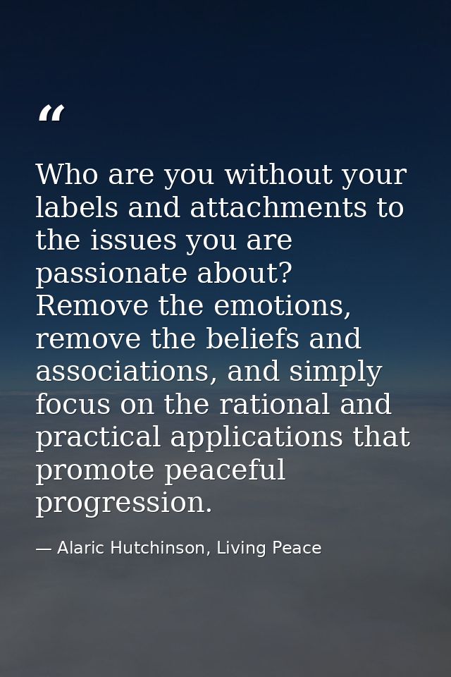 Who are you without your labels and attachments to the issues you are passionate about? Remove the emotions, remove the  — Alaric Hutchinson, Living Peace