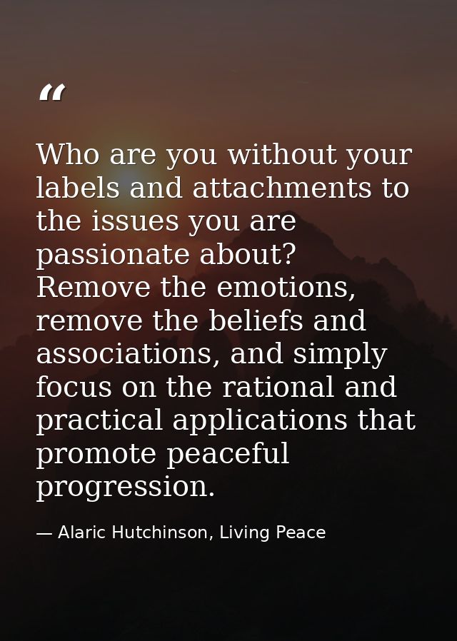Who are you without your labels and attachments to the issues you are passionate about? Remove the emotions, remove the  — Alaric Hutchinson, Living Peace