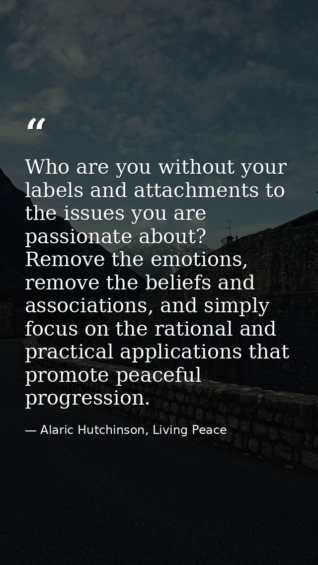 Who are you without your labels and attachments to the issues you are passionate about? Remove the emotions, remove the  — Alaric Hutchinson, Living Peace