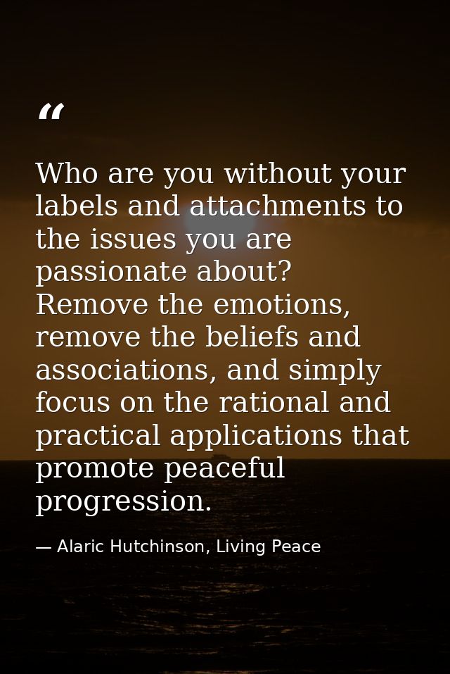 Who are you without your labels and attachments to the issues you are passionate about? Remove the emotions, remove the  — Alaric Hutchinson, Living Peace