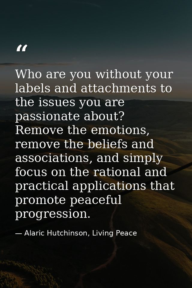 Who are you without your labels and attachments to the issues you are passionate about? Remove the emotions, remove the  — Alaric Hutchinson, Living Peace