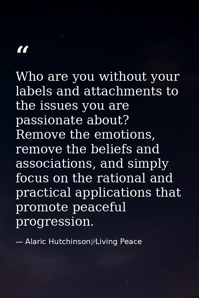 Who are you without your labels and attachments to the issues you are passionate about? Remove the emotions, remove the  — Alaric Hutchinson, Living Peace