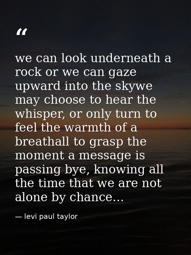 we can look underneath a rock or we can gaze upward into the skywe may choose to hear the whisper, or only turn to feel  — levi paul taylor