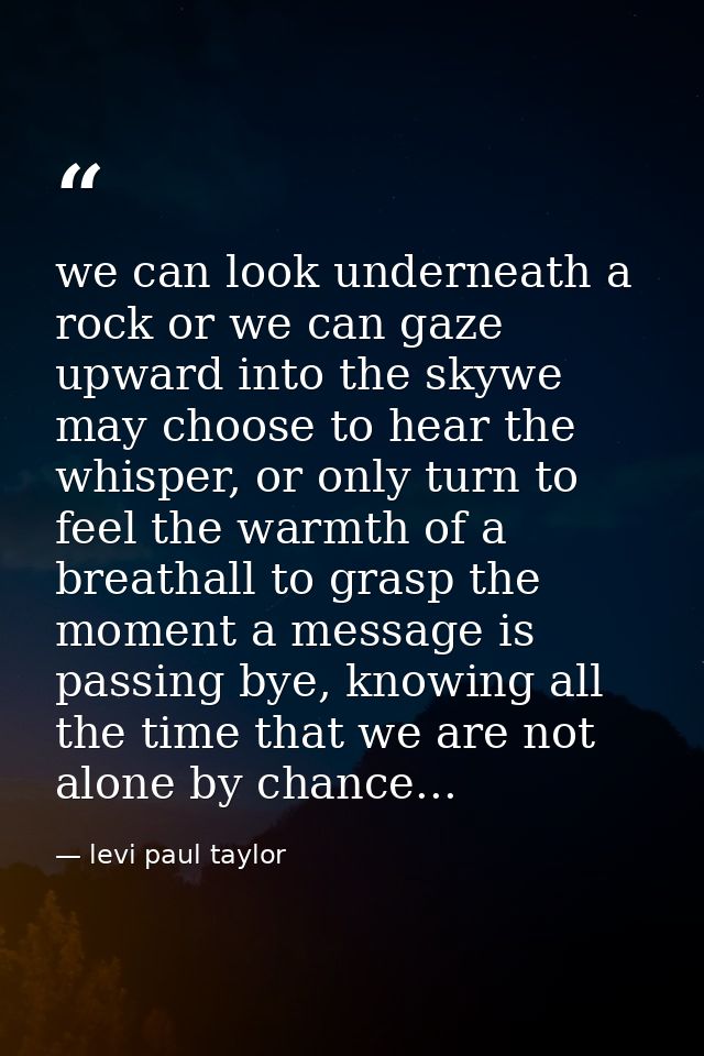 we can look underneath a rock or we can gaze upward into the skywe may choose to hear the whisper, or only turn to feel  — levi paul taylor