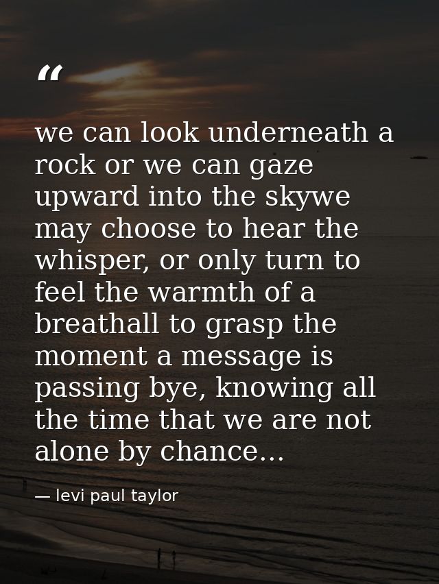 we can look underneath a rock or we can gaze upward into the skywe may choose to hear the whisper, or only turn to feel  — levi paul taylor