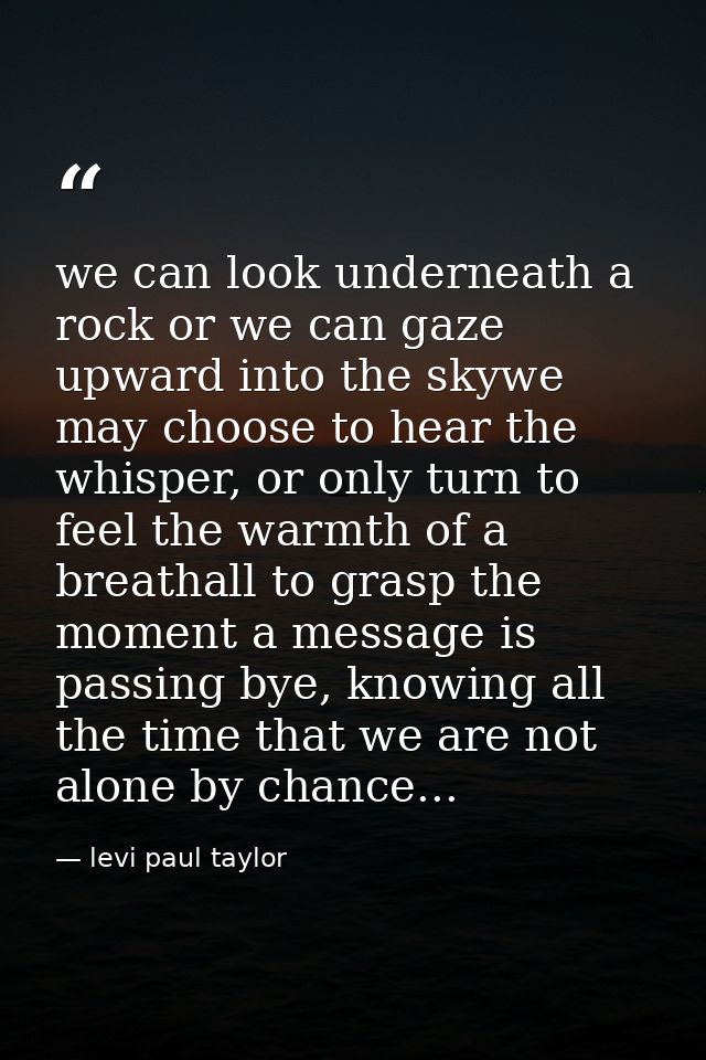 we can look underneath a rock or we can gaze upward into the skywe may choose to hear the whisper, or only turn to feel  — levi paul taylor