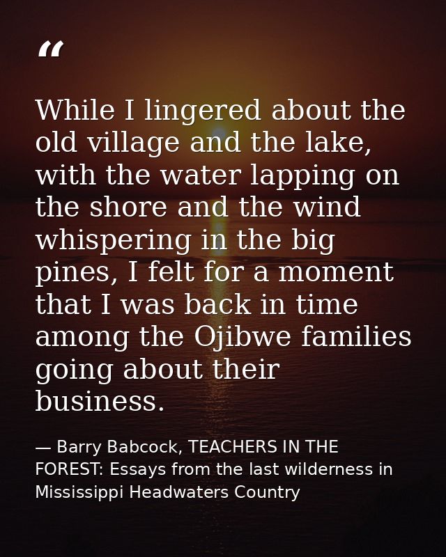 While I lingered about the old village and the lake, with the water lapping on the shore and the wind whispering in the  — Barry Babcock, TEACHERS IN THE FOREST: Essays from the last wilderness in Mississippi Headwaters Country