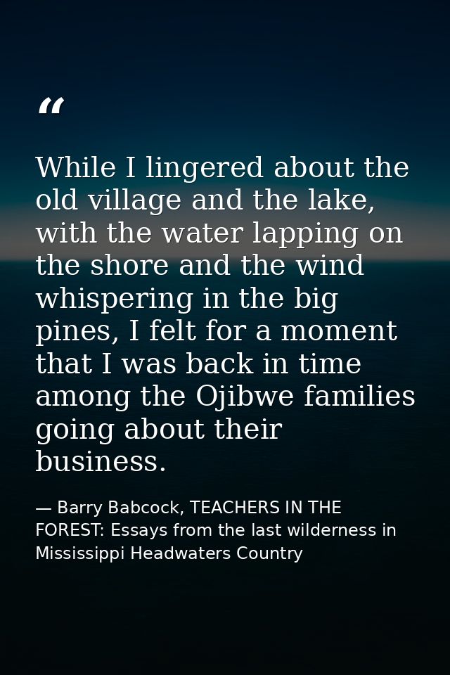 While I lingered about the old village and the lake, with the water lapping on the shore and the wind whispering in the  — Barry Babcock, TEACHERS IN THE FOREST: Essays from the last wilderness in Mississippi Headwaters Country