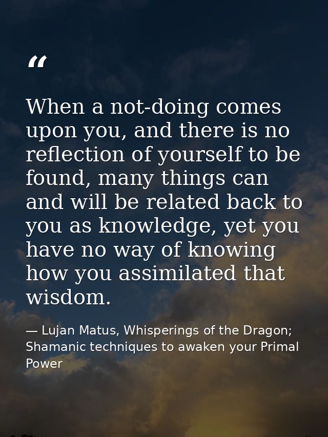 When a not-doing comes upon you, and there is no reflection of yourself to be found, many things can and will be related — Lujan Matus, Whisperings of the Dragon; Shamanic techniques to awaken your Primal Power