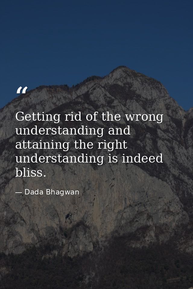 Getting rid of the wrong understanding and attaining the right understanding is indeed bliss. — Dada Bhagwan