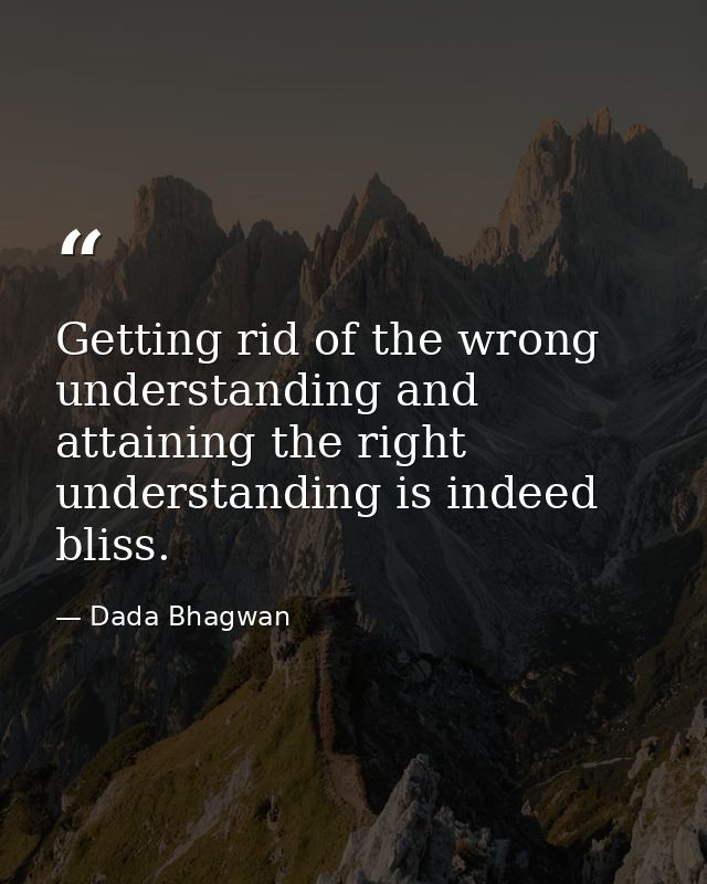 Getting rid of the wrong understanding and attaining the right understanding is indeed bliss. — Dada Bhagwan