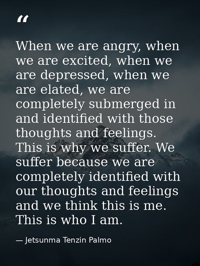 When we are angry, when we are excited, when we are depressed, when we are elated, we are completely submerged in and id — Jetsunma Tenzin Palmo