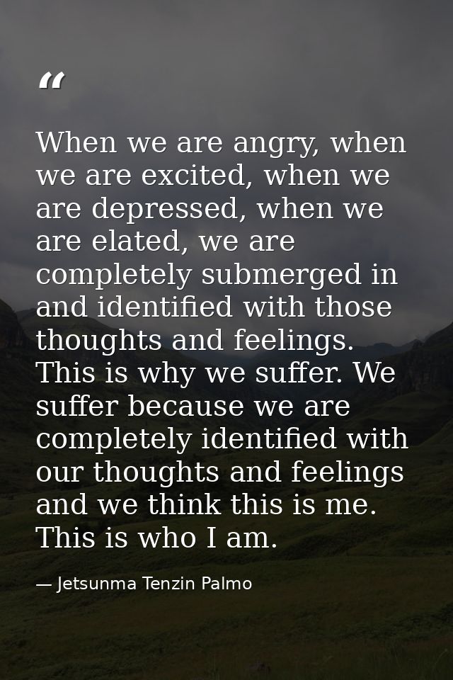 When we are angry, when we are excited, when we are depressed, when we are elated, we are completely submerged in and id — Jetsunma Tenzin Palmo