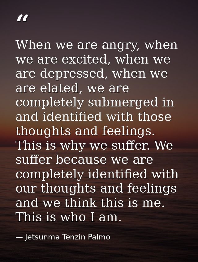 When we are angry, when we are excited, when we are depressed, when we are elated, we are completely submerged in and id — Jetsunma Tenzin Palmo
