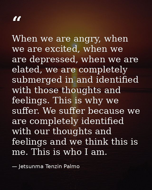 When we are angry, when we are excited, when we are depressed, when we are elated, we are completely submerged in and id — Jetsunma Tenzin Palmo