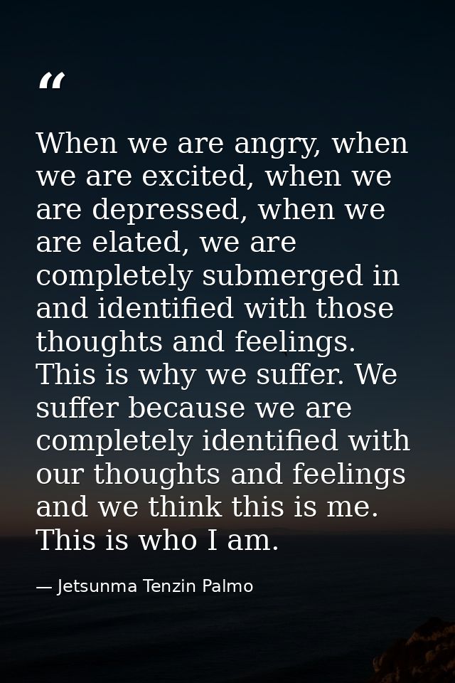 When we are angry, when we are excited, when we are depressed, when we are elated, we are completely submerged in and id — Jetsunma Tenzin Palmo