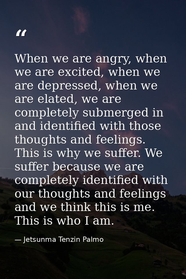 When we are angry, when we are excited, when we are depressed, when we are elated, we are completely submerged in and id — Jetsunma Tenzin Palmo