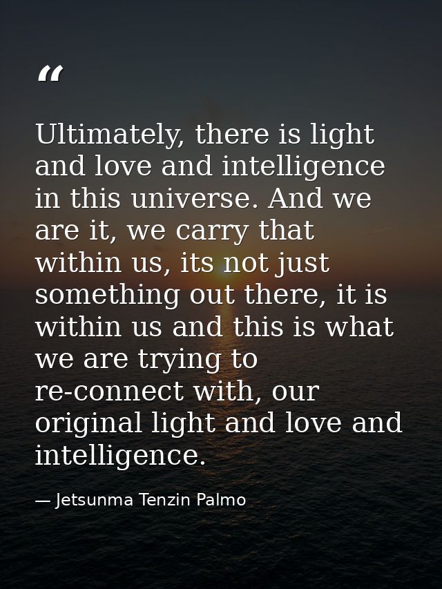 Ultimately, there is light and love and intelligence in this universe. And we are it, we carry that within us, its not j — Jetsunma Tenzin Palmo