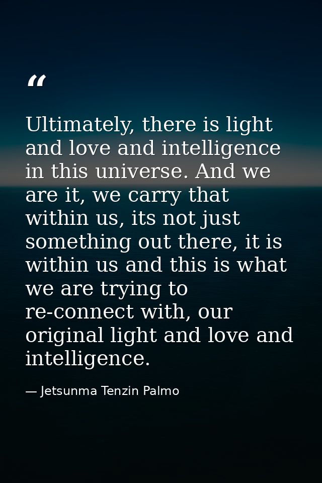Ultimately, there is light and love and intelligence in this universe. And we are it, we carry that within us, its not j — Jetsunma Tenzin Palmo