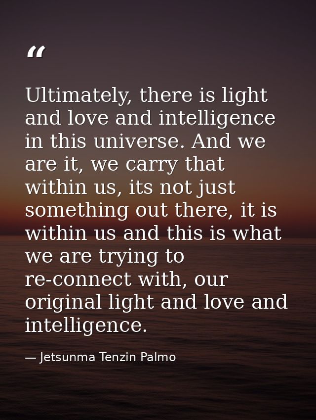 Ultimately, there is light and love and intelligence in this universe. And we are it, we carry that within us, its not j — Jetsunma Tenzin Palmo