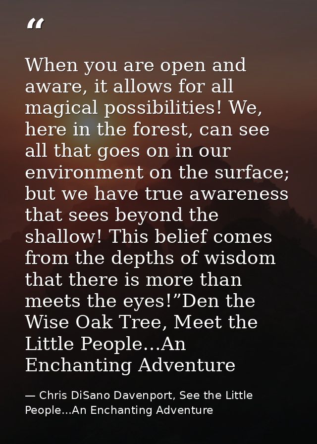 When you are open and aware, it allows for all magical possibilities! We, here in the forest, can see all that goes on i — Chris DiSano Davenport, See the Little People...An Enchanting Adventure