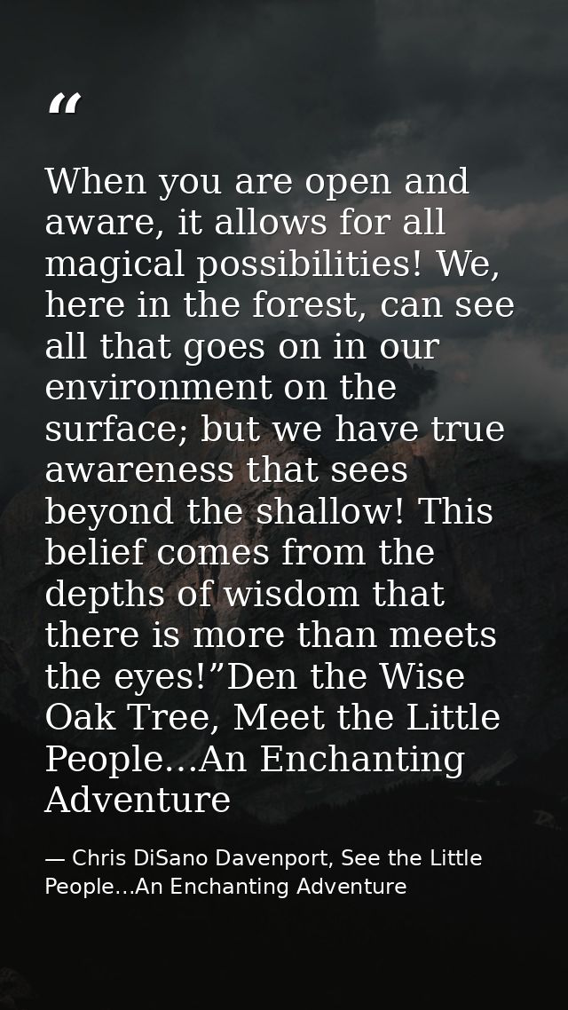 When you are open and aware, it allows for all magical possibilities! We, here in the forest, can see all that goes on i — Chris DiSano Davenport, See the Little People...An Enchanting Adventure