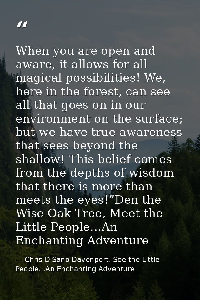 When you are open and aware, it allows for all magical possibilities! We, here in the forest, can see all that goes on i — Chris DiSano Davenport, See the Little People...An Enchanting Adventure