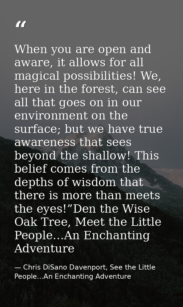 When you are open and aware, it allows for all magical possibilities! We, here in the forest, can see all that goes on i — Chris DiSano Davenport, See the Little People...An Enchanting Adventure
