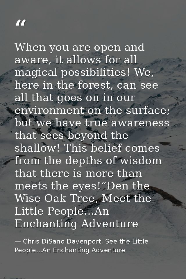 When you are open and aware, it allows for all magical possibilities! We, here in the forest, can see all that goes on i — Chris DiSano Davenport, See the Little People...An Enchanting Adventure