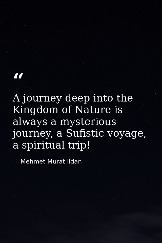 A journey deep into the Kingdom of Nature is always a mysterious journey, a Sufistic voyage, a spiritual trip! — Mehmet Murat ildan