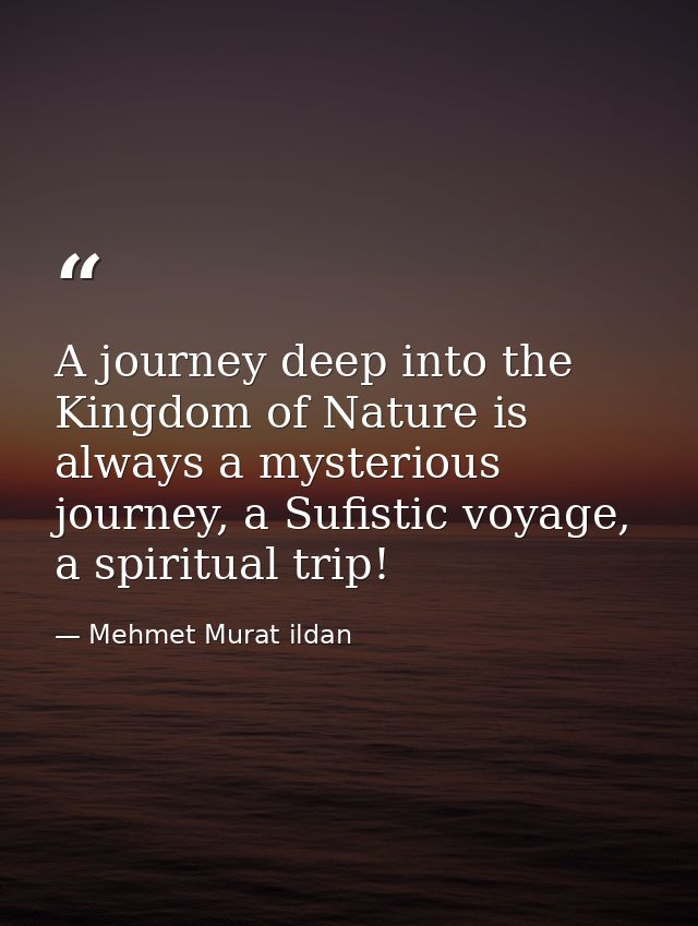 A journey deep into the Kingdom of Nature is always a mysterious journey, a Sufistic voyage, a spiritual trip! — Mehmet Murat ildan