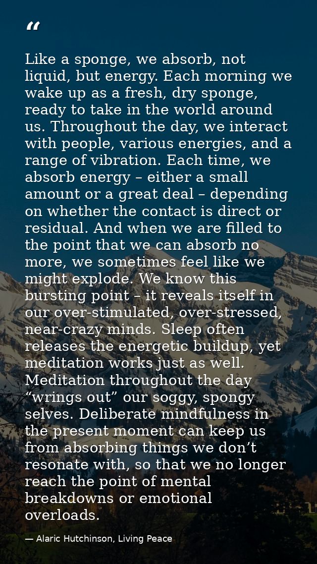 Like a sponge, we absorb, not liquid, but energy. Each morning we wake up as a fresh, dry sponge, ready to take in the w — Alaric Hutchinson, Living Peace