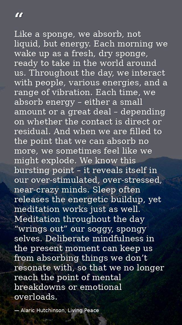 Like a sponge, we absorb, not liquid, but energy. Each morning we wake up as a fresh, dry sponge, ready to take in the w — Alaric Hutchinson, Living Peace