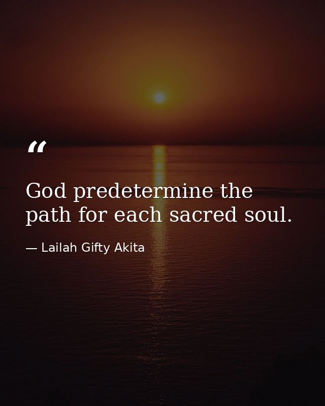 God predetermine the path for each sacred soul. — Lailah Gifty Akita