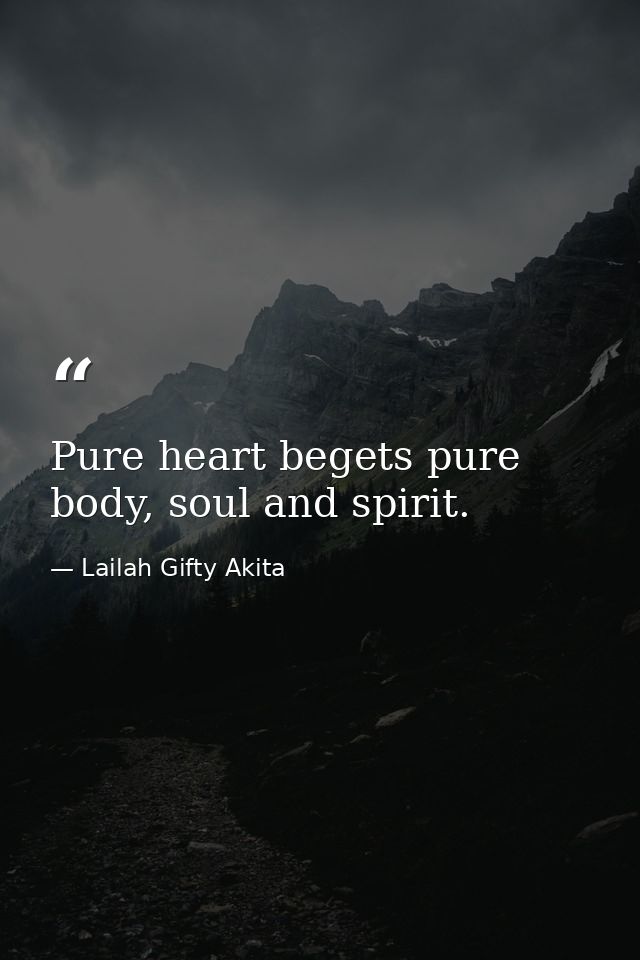 Pure heart begets pure body, soul and spirit. — Lailah Gifty Akita