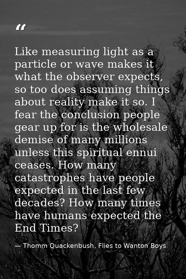 Like measuring light as a particle or wave makes it what the observer expects, so too does assuming things about reality — Thomm Quackenbush, Flies to Wanton Boys